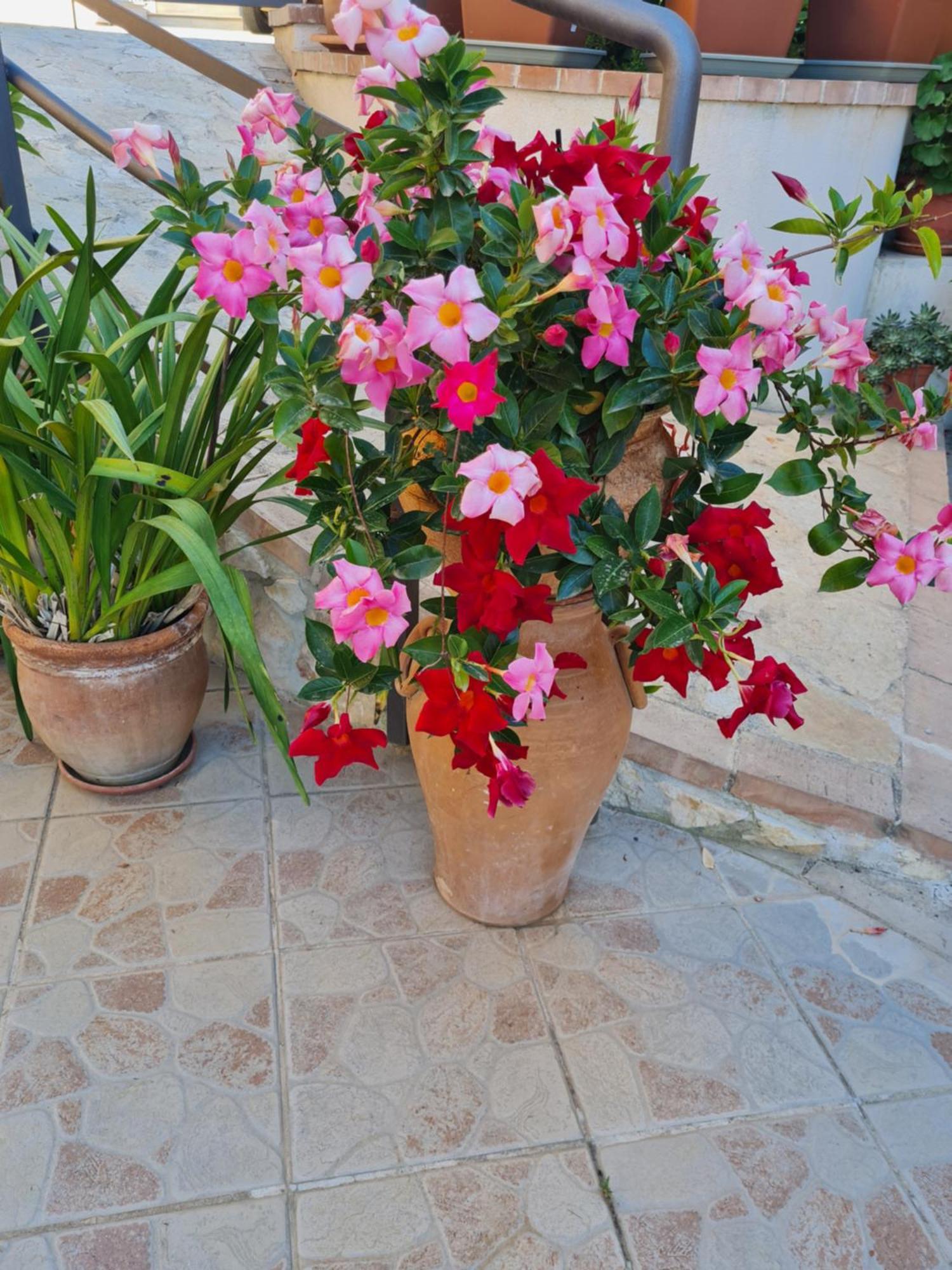 B&B La Casa Di Martina Zambrone Bagian luar foto